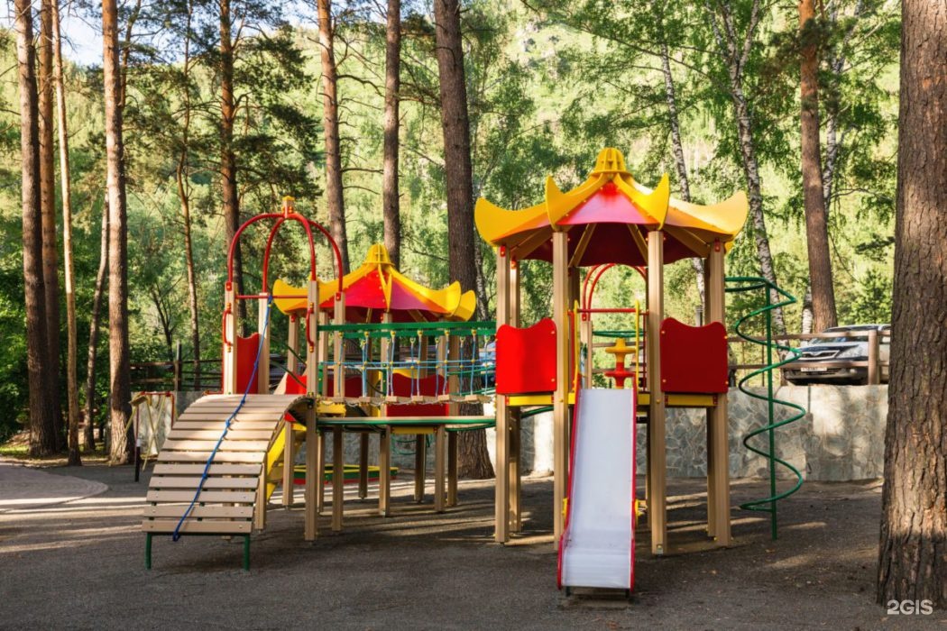 Шишка - фото 89