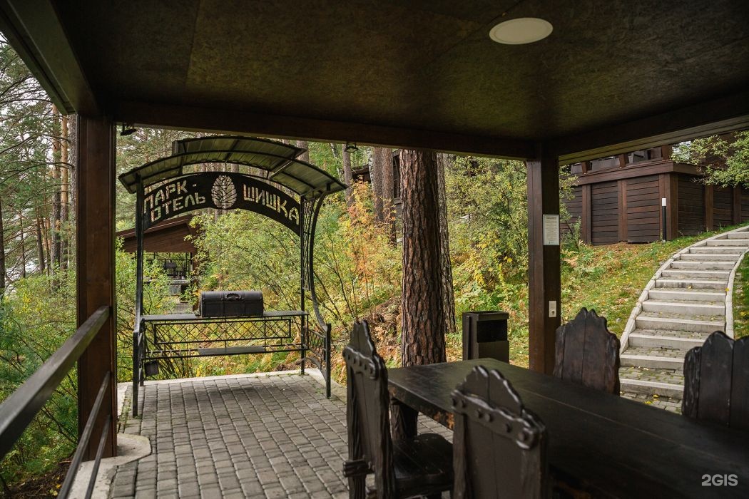 Шишка - фото 91