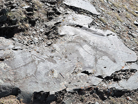 Петроглифы «Калгутинский рудник» - фото 3