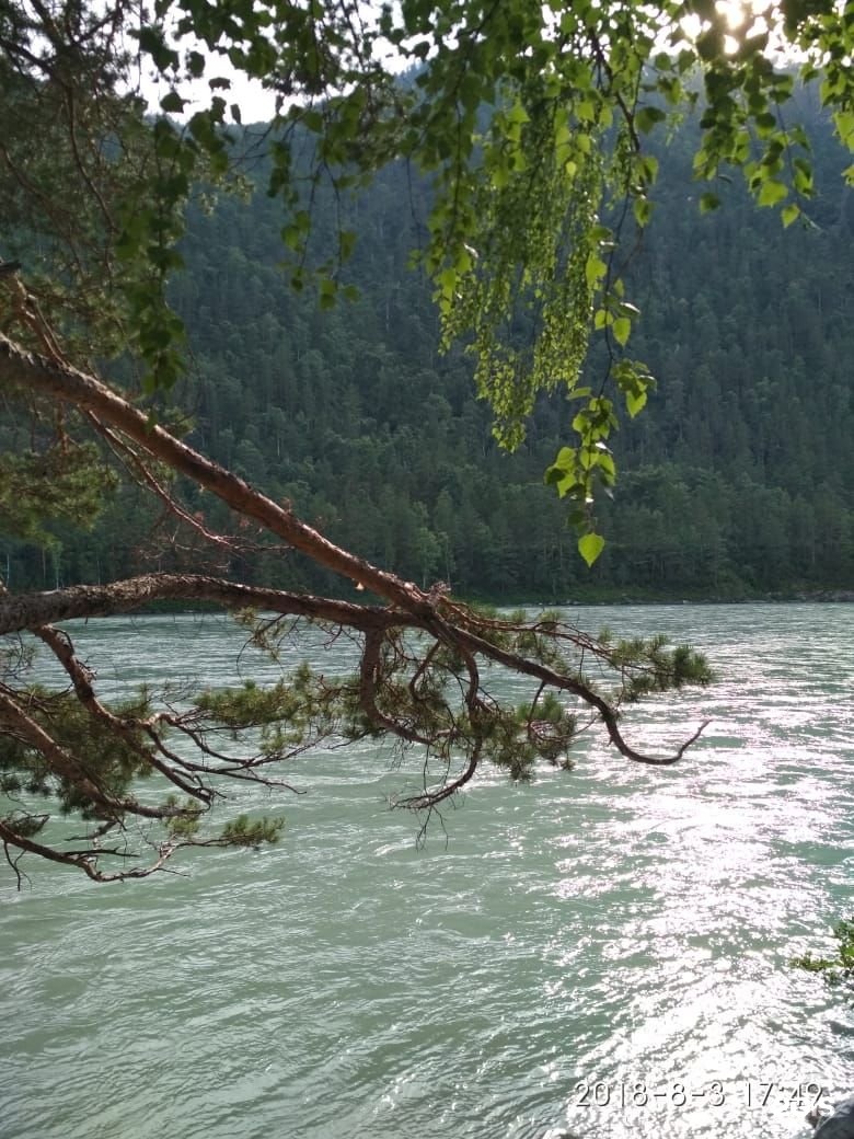 Усадьба Славная - фото 31