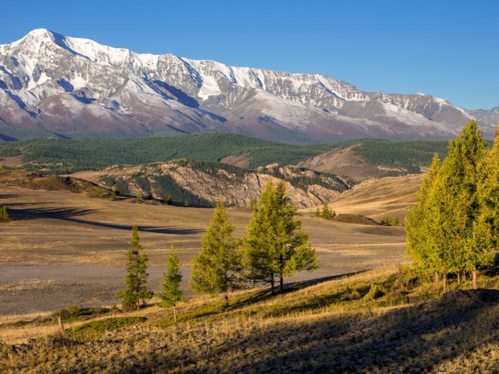 Курайская степь - фото 3