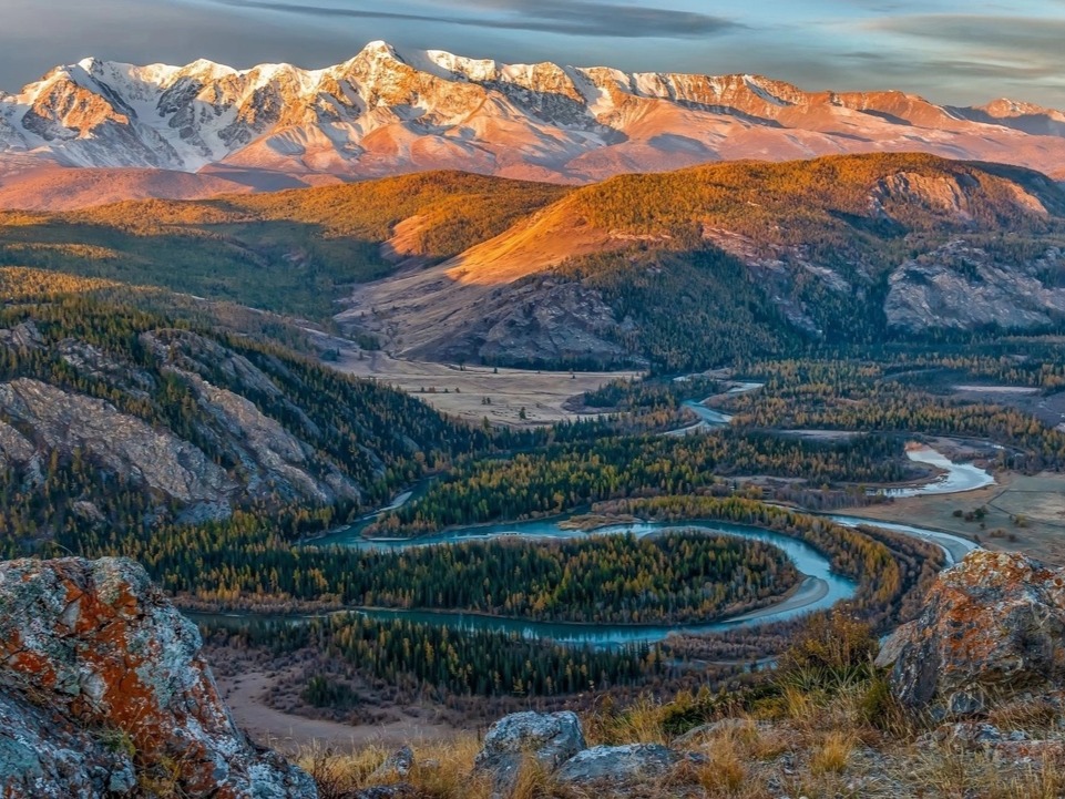 Курайская степь - фото 5