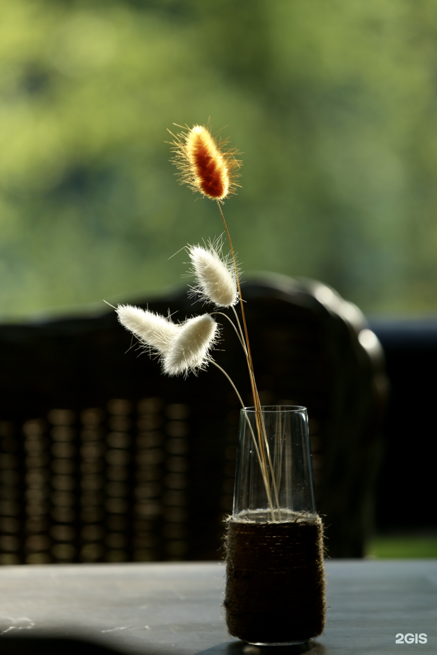 Урочище Сайкол - фото 56