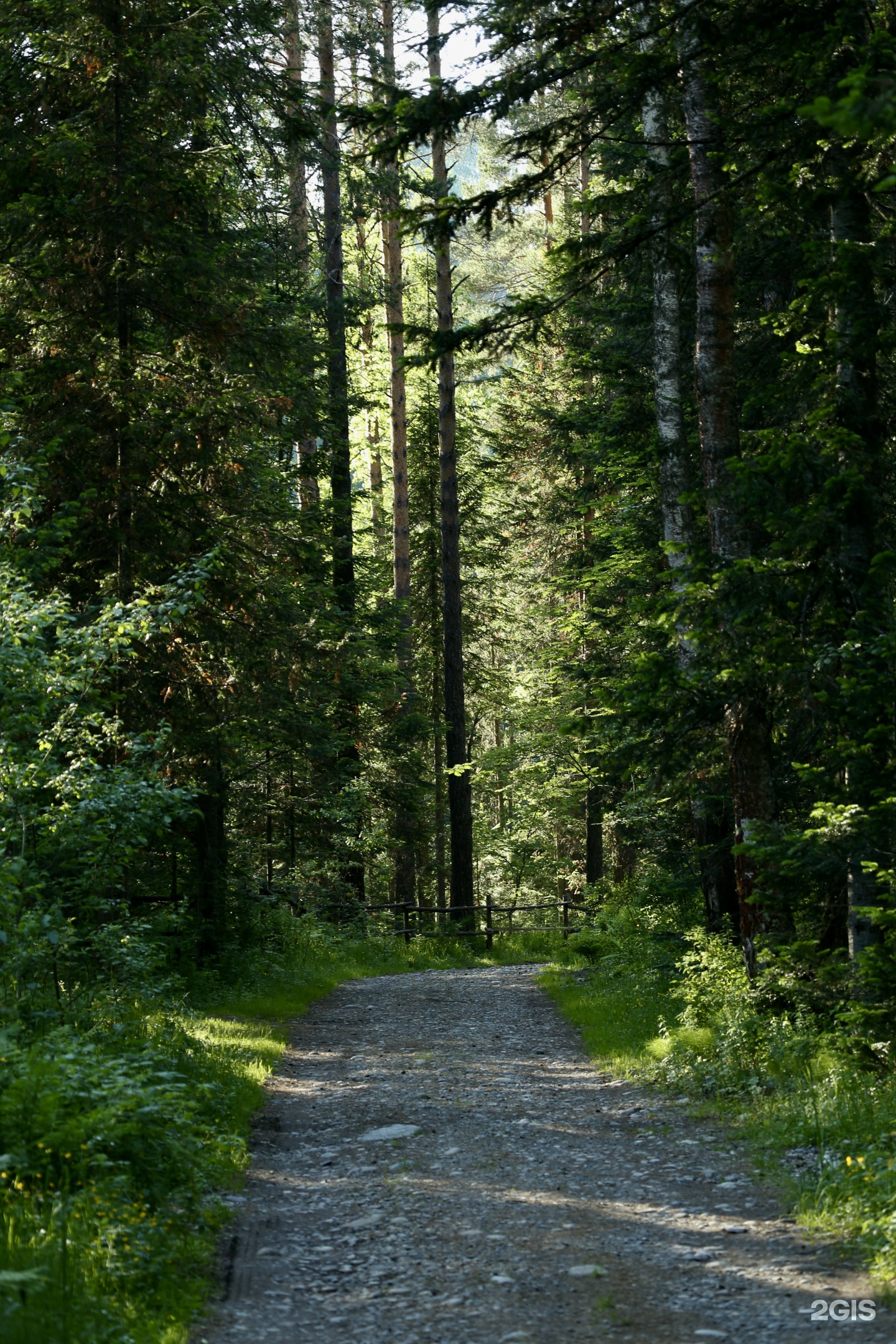 Урочище Сайкол - фото 57