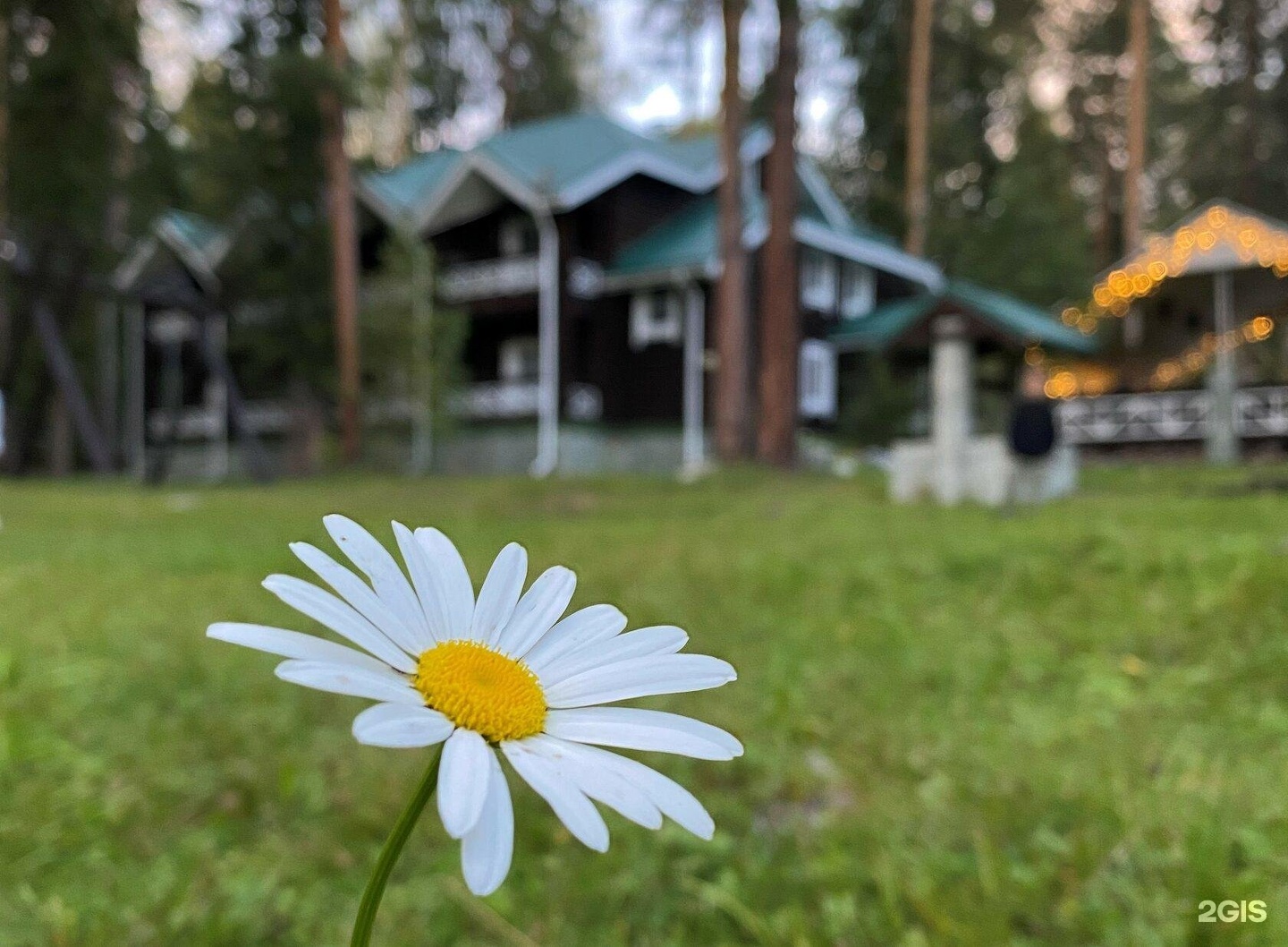 Урочище Сайкол - фото 79