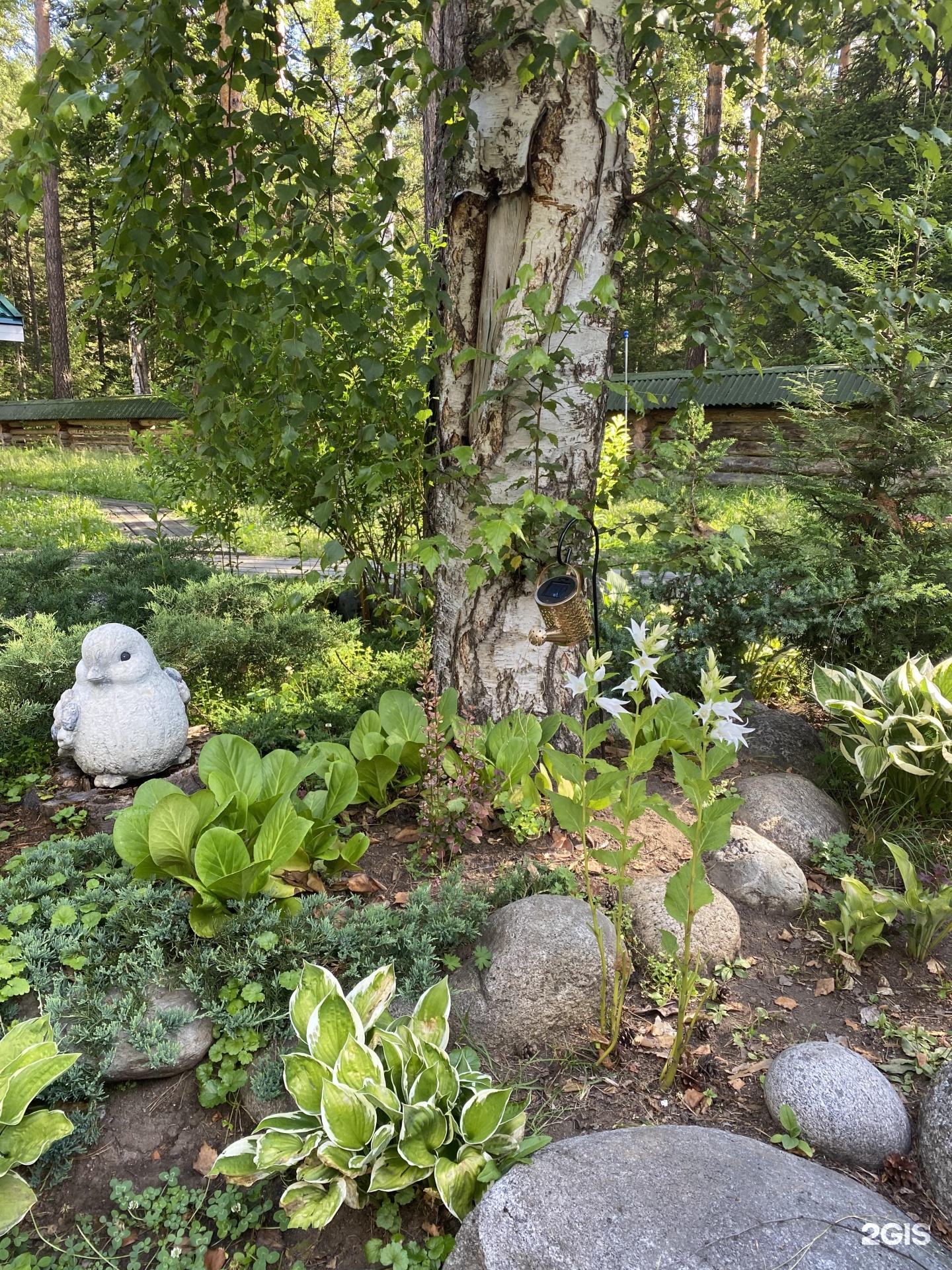 Урочище Сайкол - фото 80