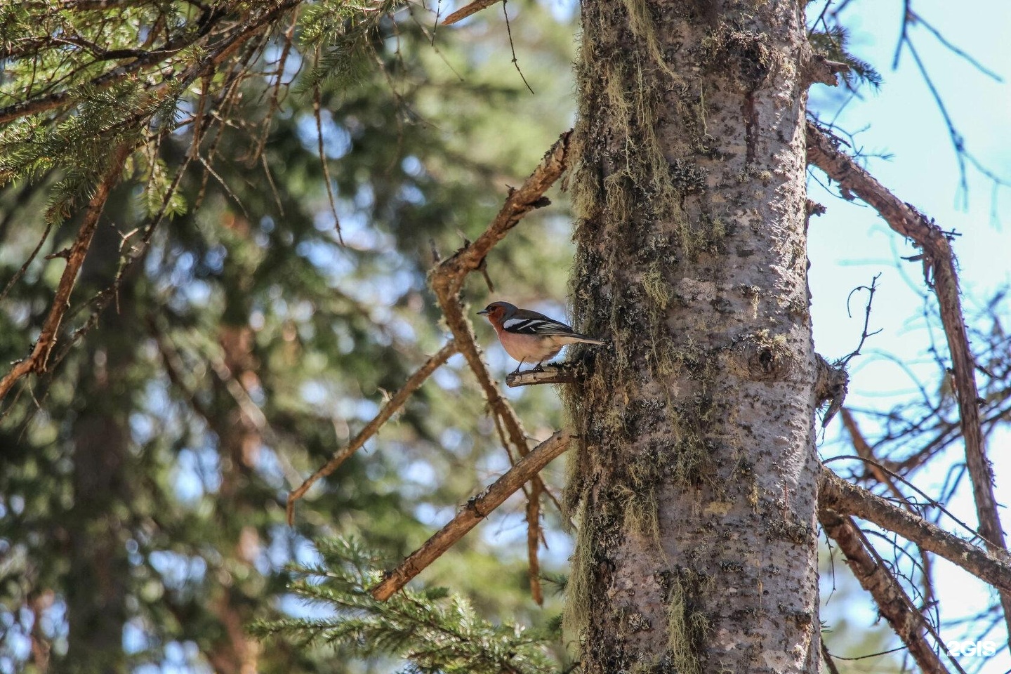 Урочище Сайкол - фото 96