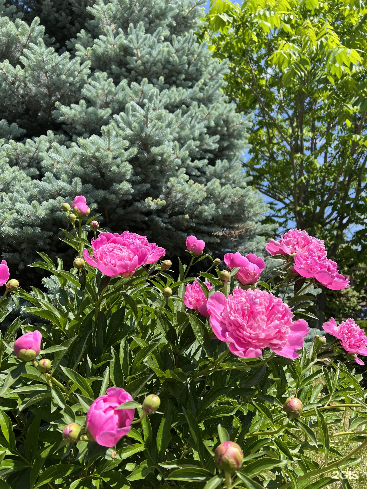 Сар-Герел Алтая - фото 9