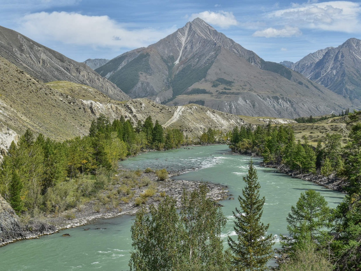 Река Аргут - фото 2