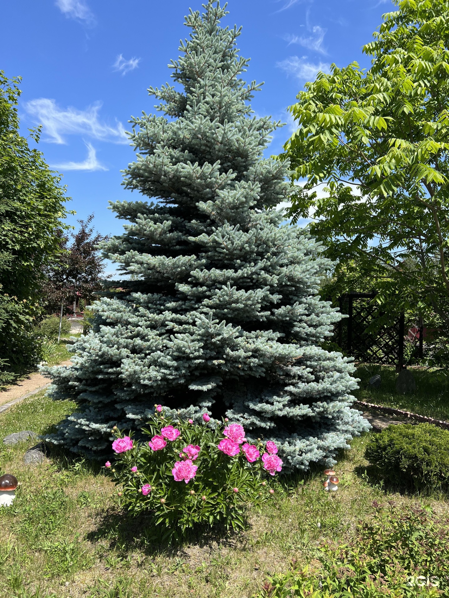 Сар-Герел Алтая - фото 21