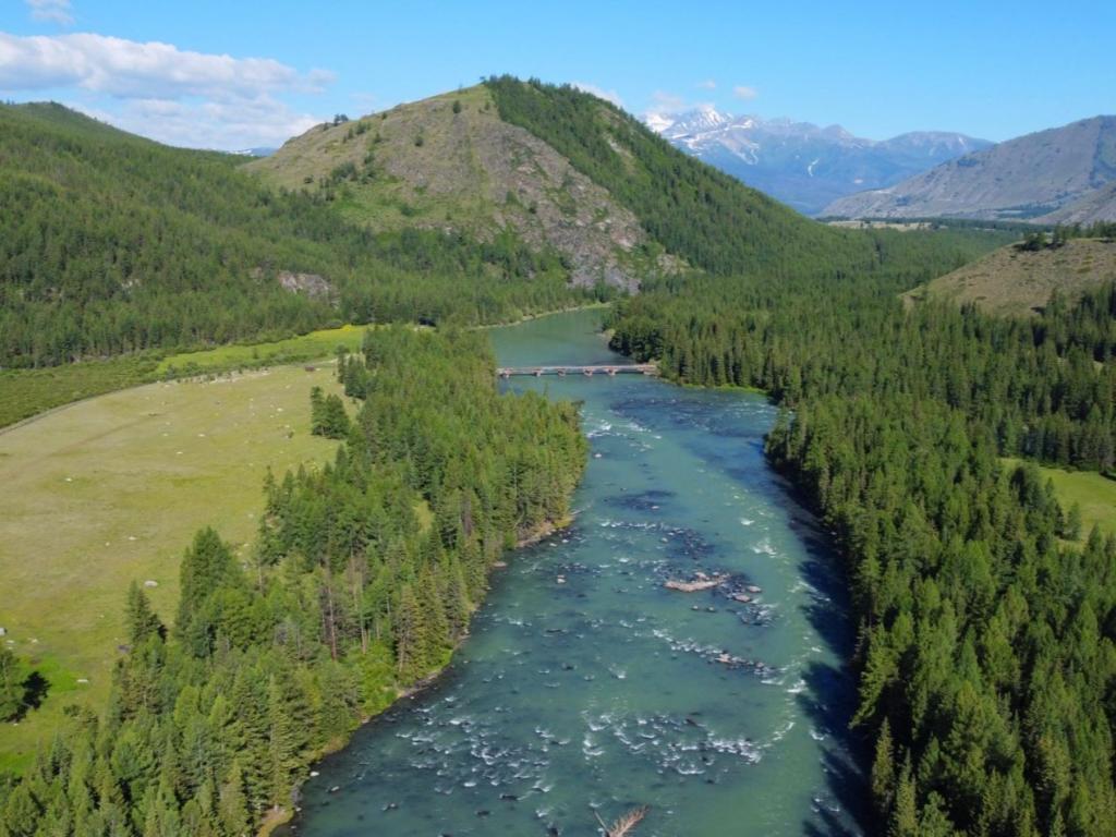 Река Аргут - фото 5