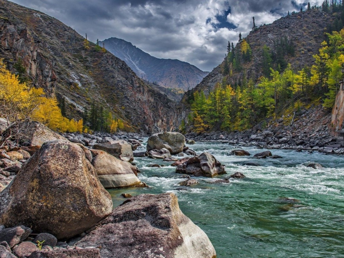 Река Аргут - фото 4