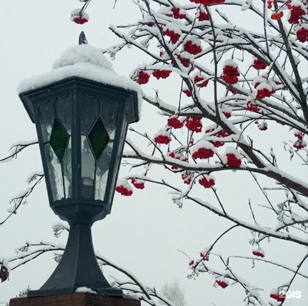Сар-Герел Алтая - фото 39