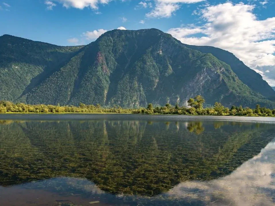 Южный берег Телецкого озера - фото 1