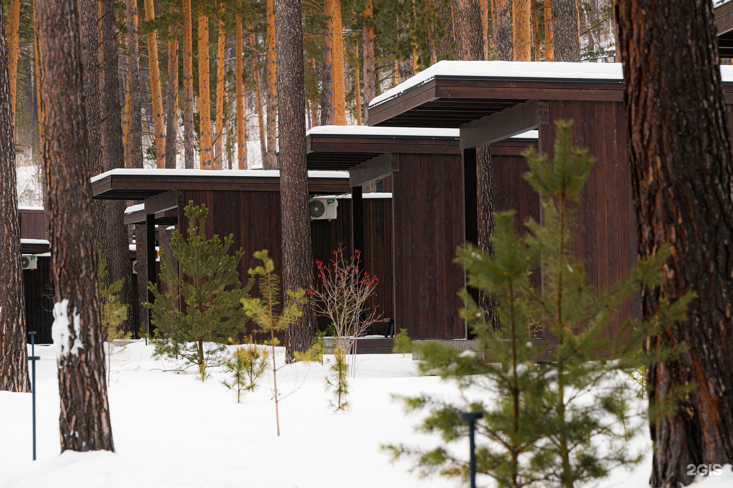 Катунь Dom Hotels - фото 16