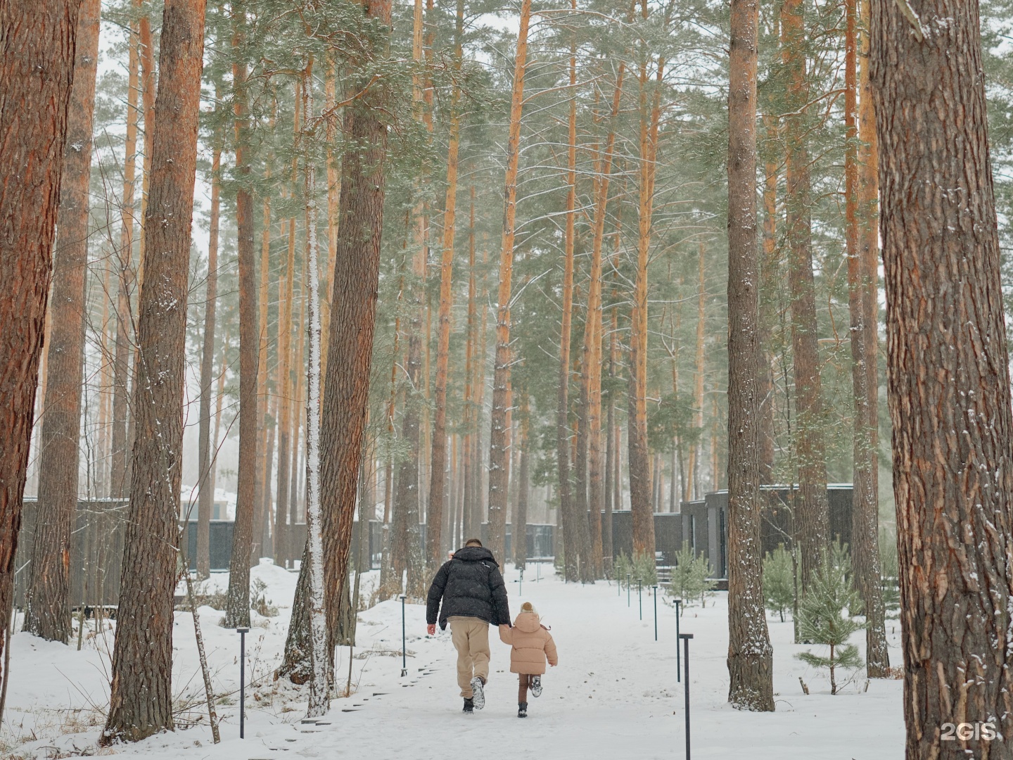 Катунь Dom Hotels - фото 26