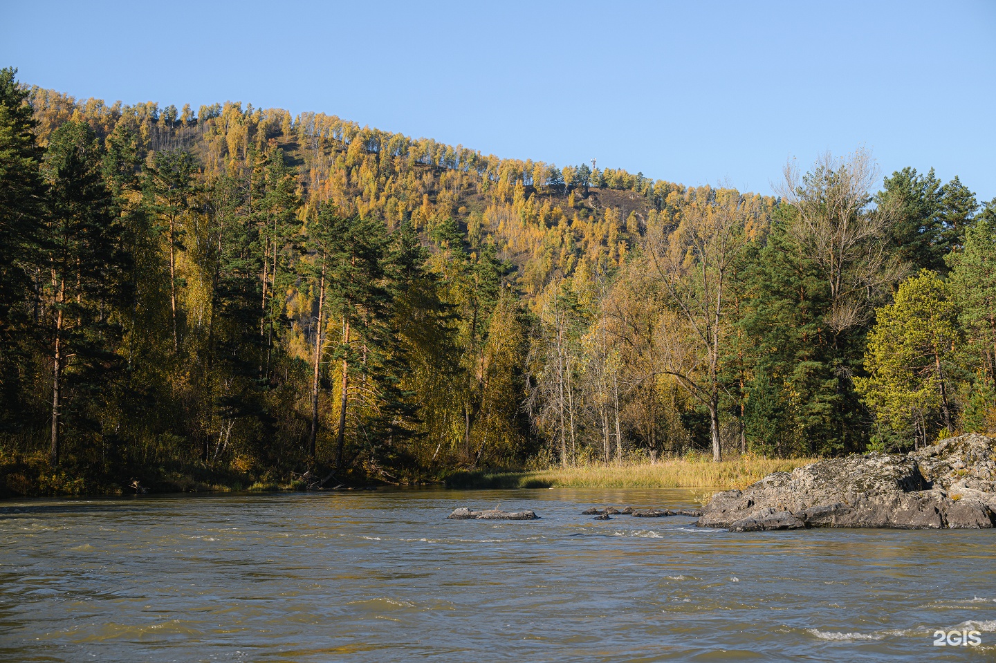 Катунь Dom Hotels - фото 42