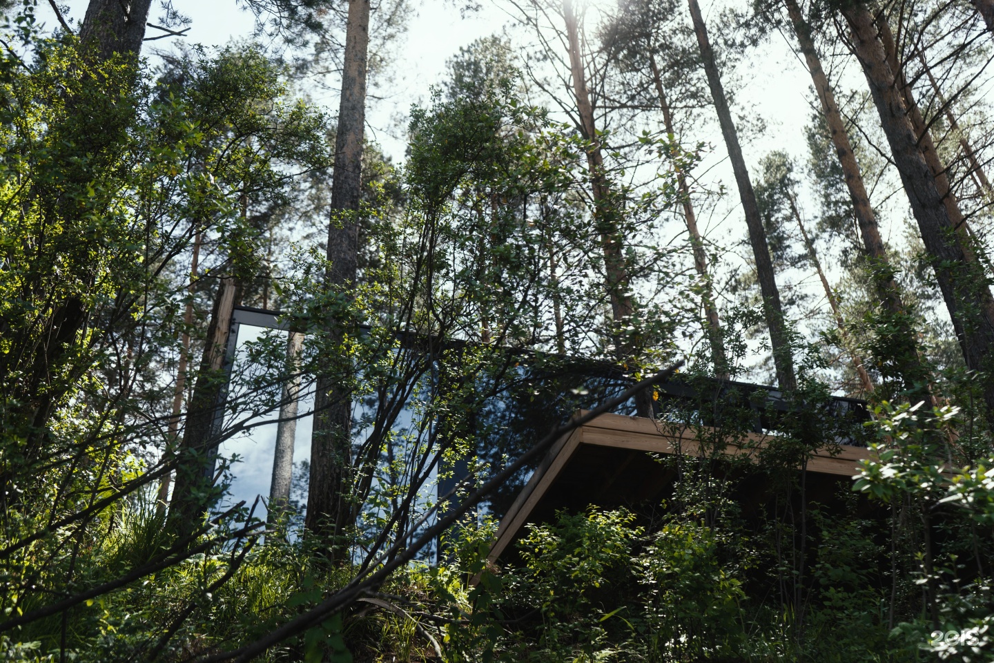 Катунь Dom Hotels - фото 75