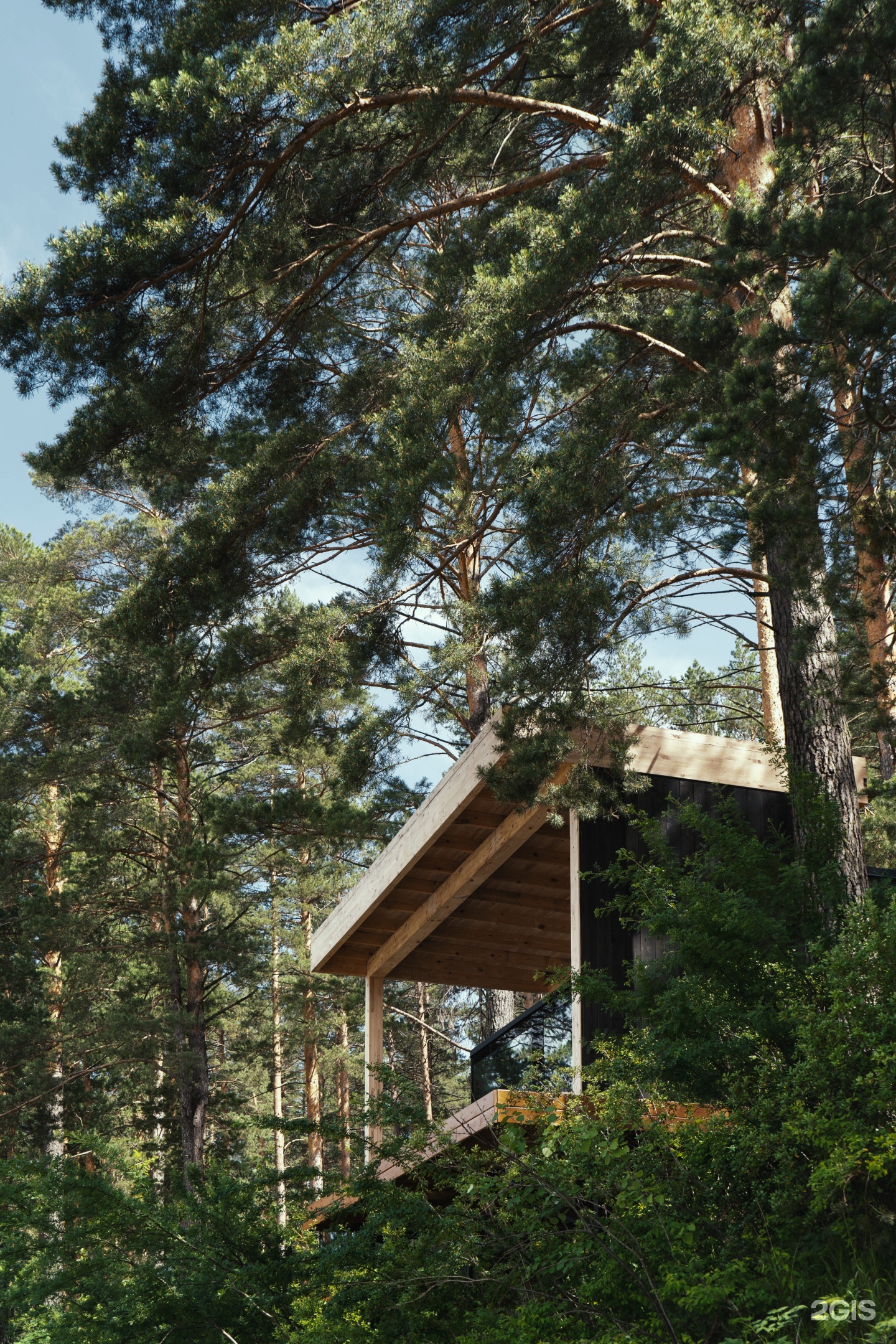 Катунь Dom Hotels - фото 83