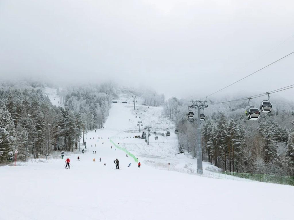 Всесезонный курорт «Манжерок» - фото 4