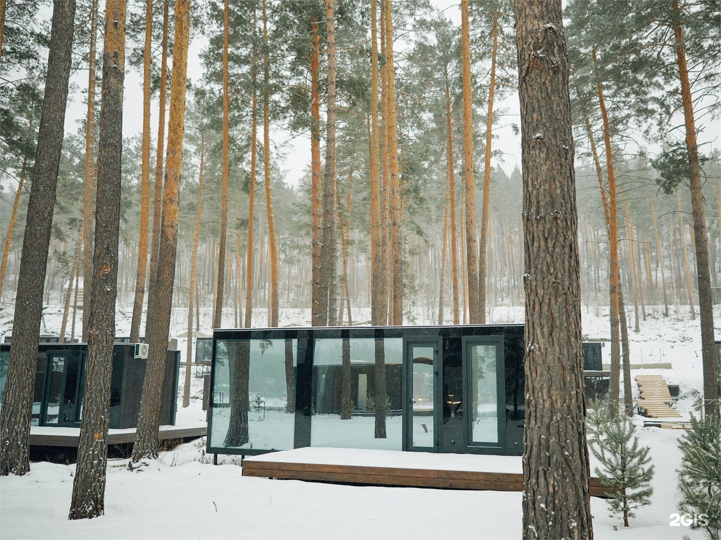 Дом Лес (Дом в Лесу) - фото 2