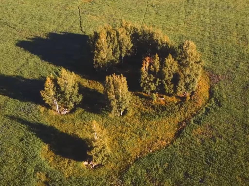 Катандинские курганы - фото 1