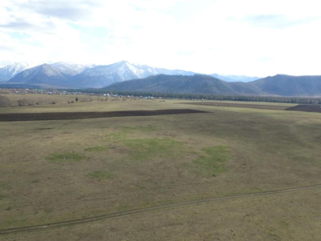 Катандинские курганы - фото 3