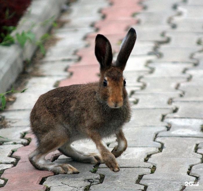 Талда - фото 18