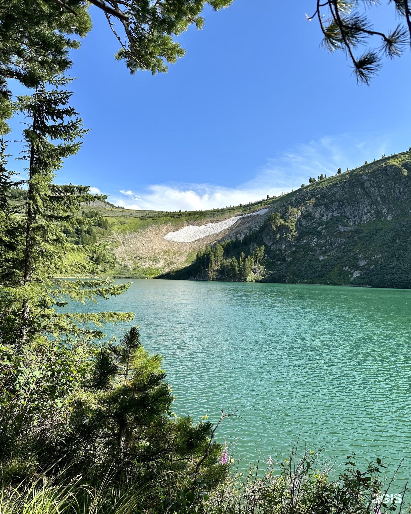 Медвежья гора в Усть-Коксе - фото 9