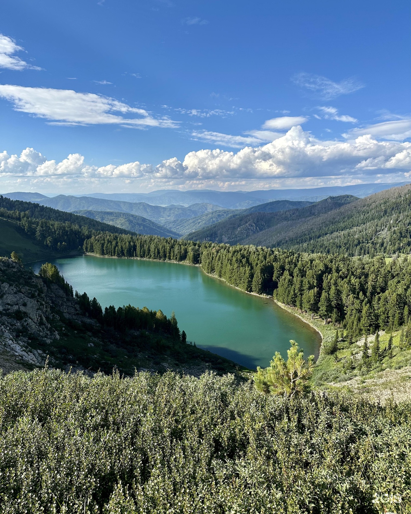 Медвежья гора в Усть-Коксе - фото 10