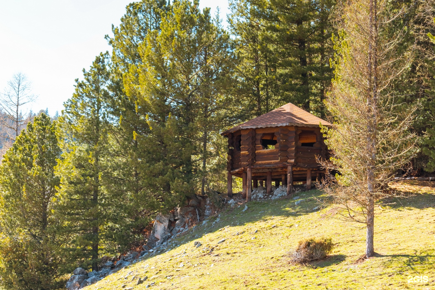 Медвежья гора в Усть-Коксе - фото 30