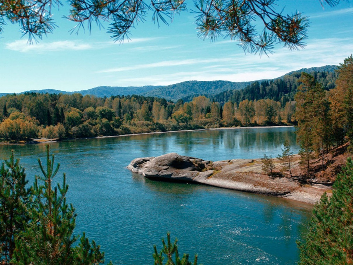 Река Бия - фото 1