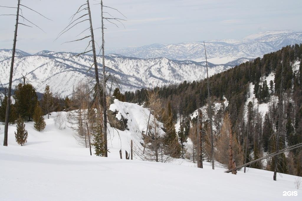 Медвежья гора в Усть-Коксе - фото 51