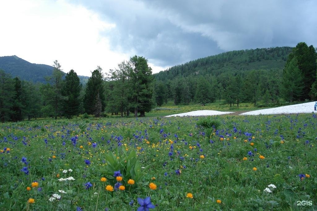 Медвежья гора в Усть-Коксе - фото 53