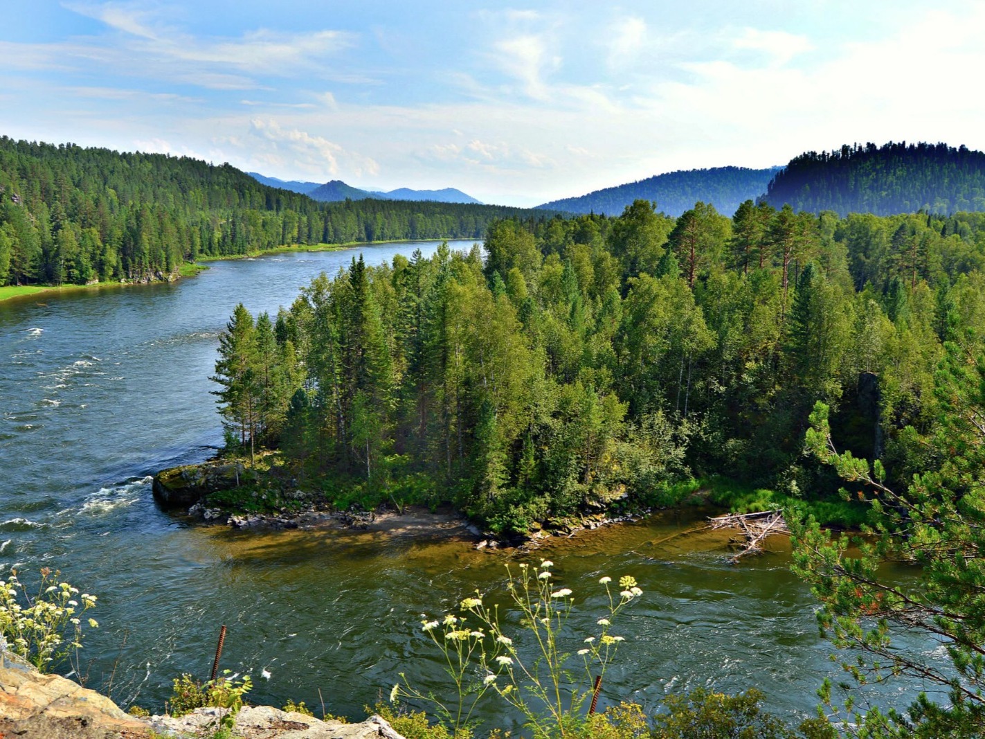 Река Бия - фото 2