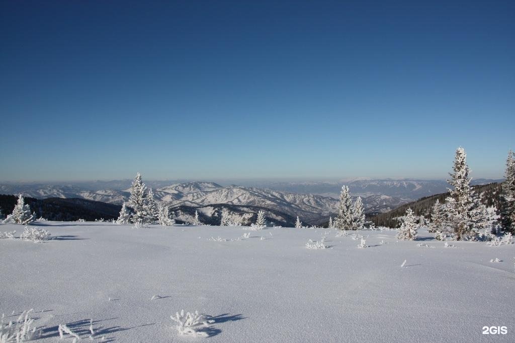 Медвежья гора в Усть-Коксе - фото 70