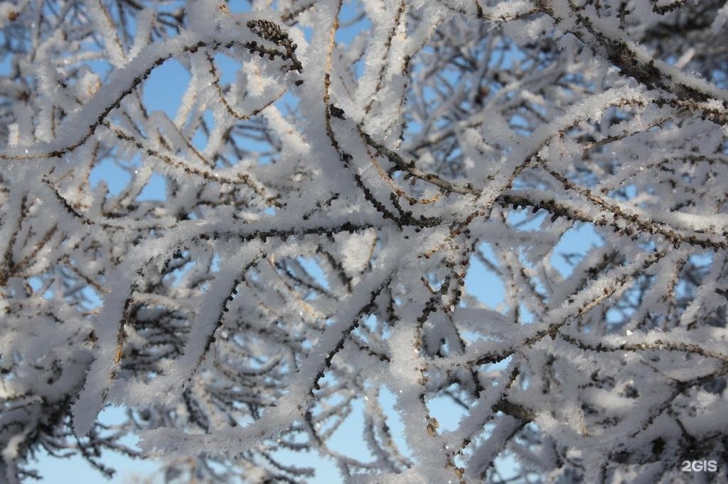 Медвежья гора в Усть-Коксе - фото 88