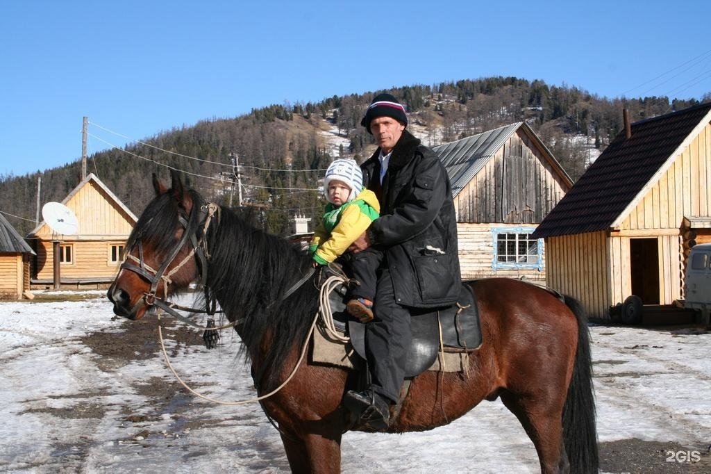 Медвежья гора в Усть-Коксе - фото 94