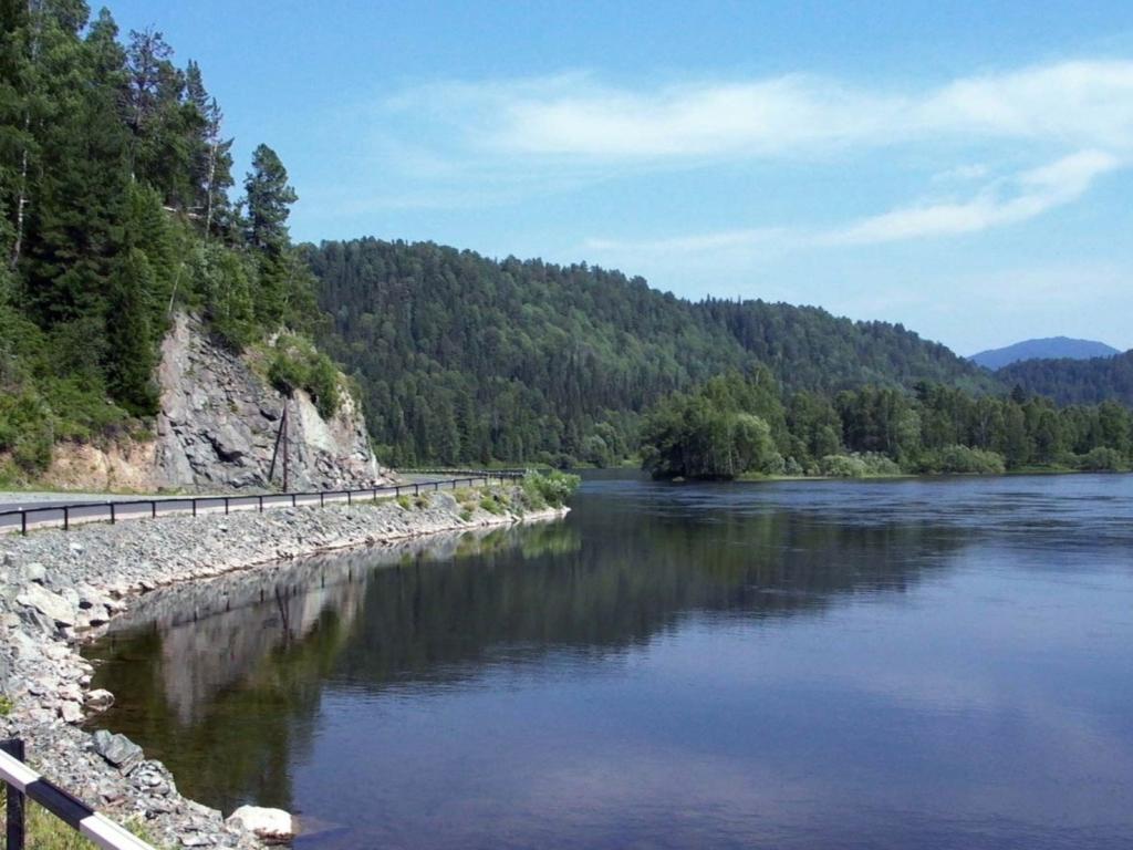 Река Бия - фото 6