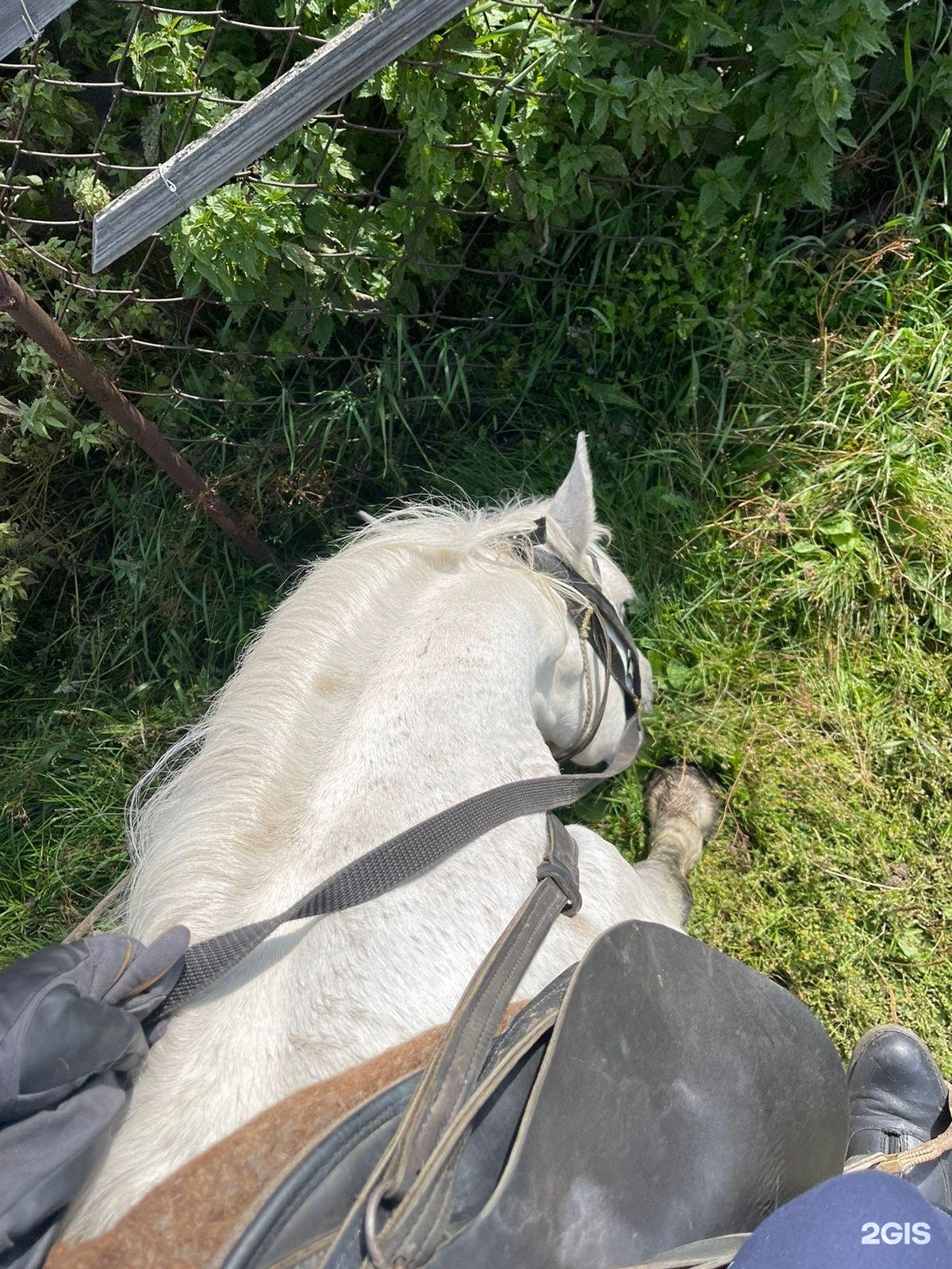 Медвежья гора в Усть-Коксе - фото 101