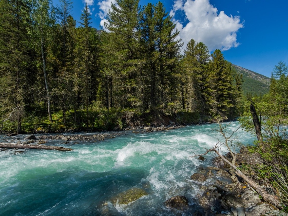 Река Кучерла - фото 4