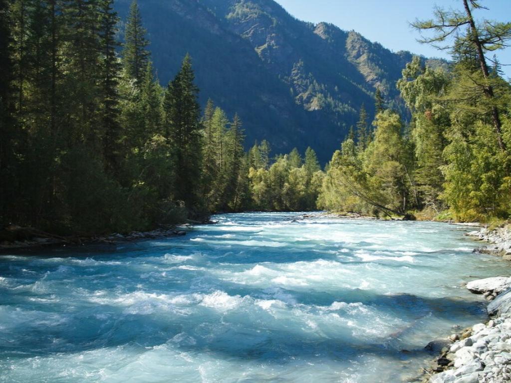 Река Кучерла - фото 5