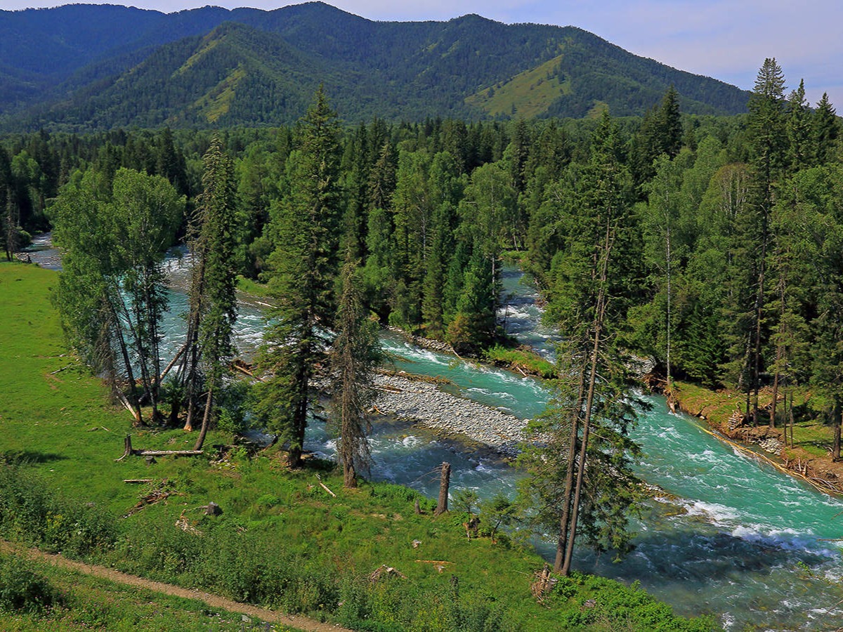 Река Кучерла - фото 6