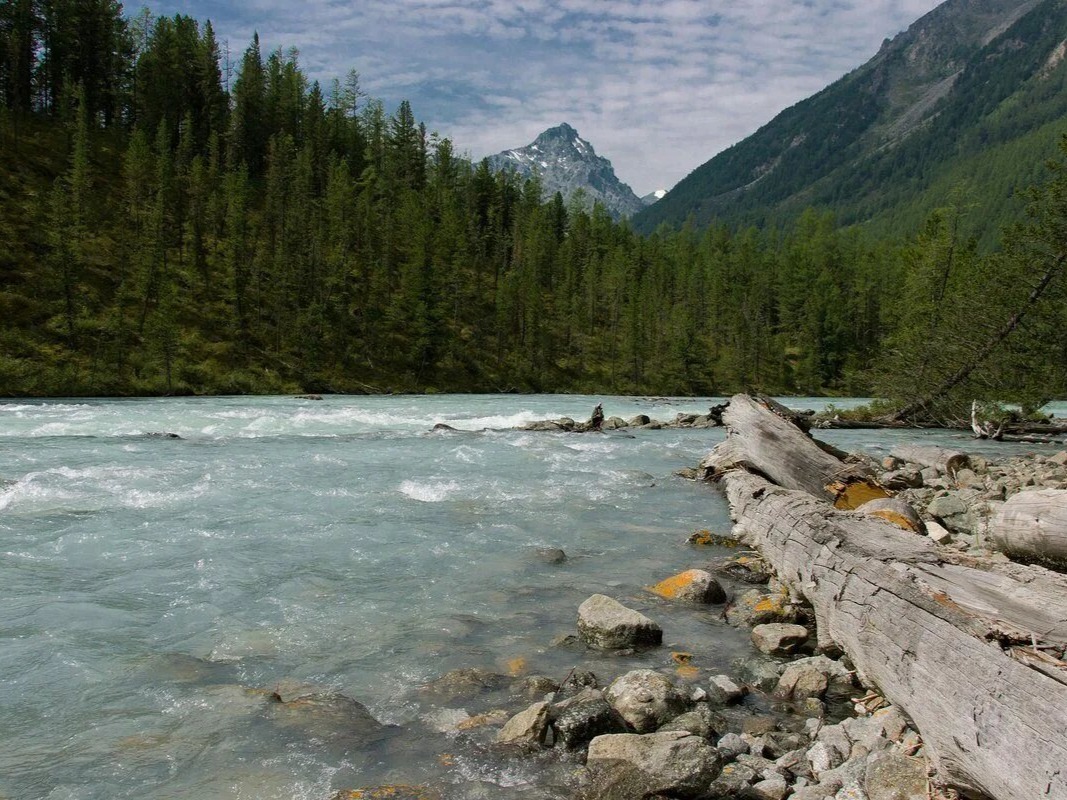 Река Кучерла - фото 7