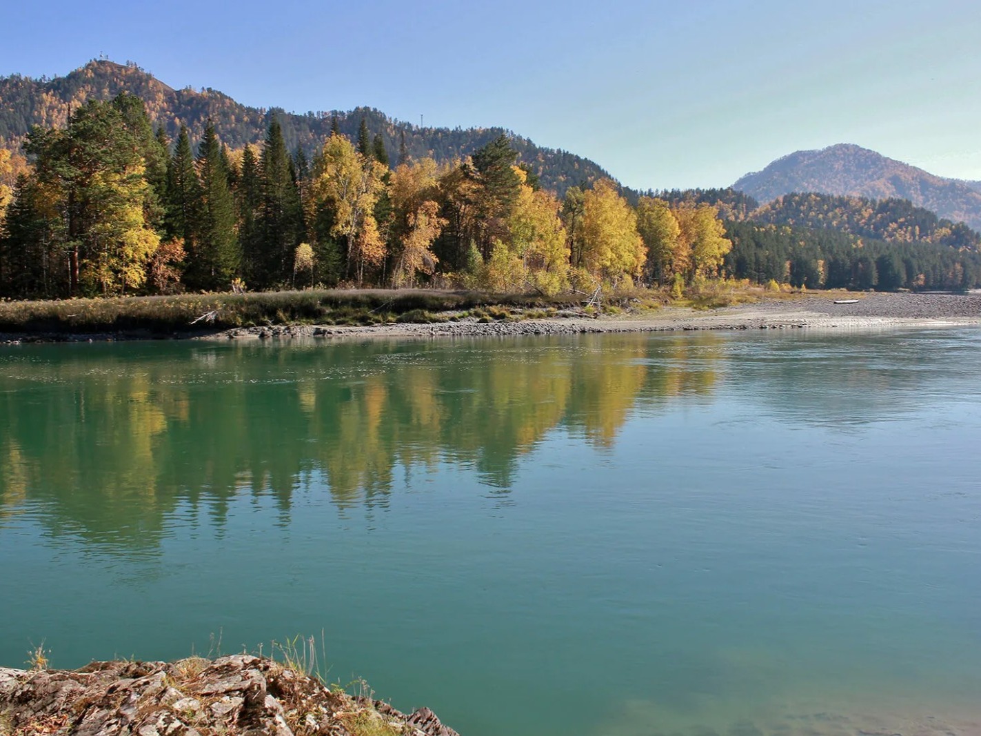 Река Лебедь - фото 2