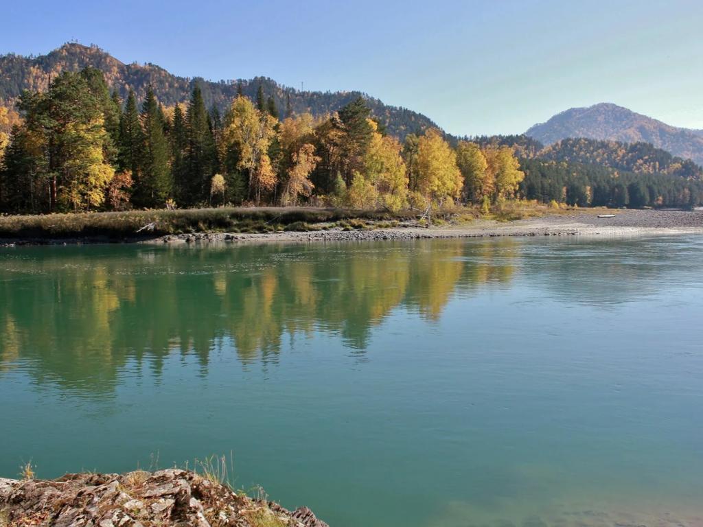 Река Лебедь - фото 2