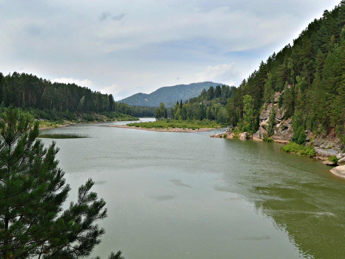 Река Лебедь - фото 3