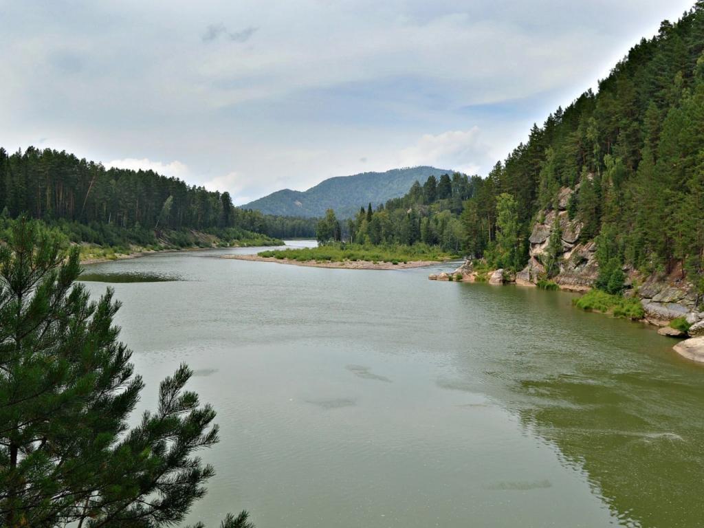 Река Лебедь - фото 3