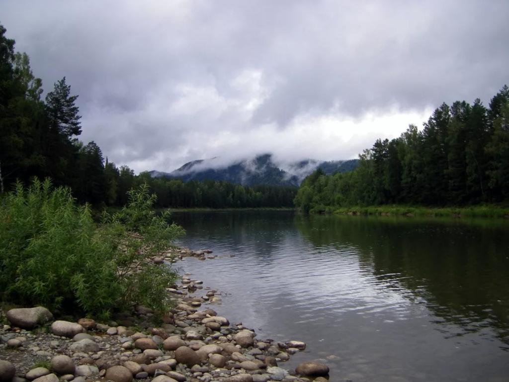 Река Лебедь - фото 4