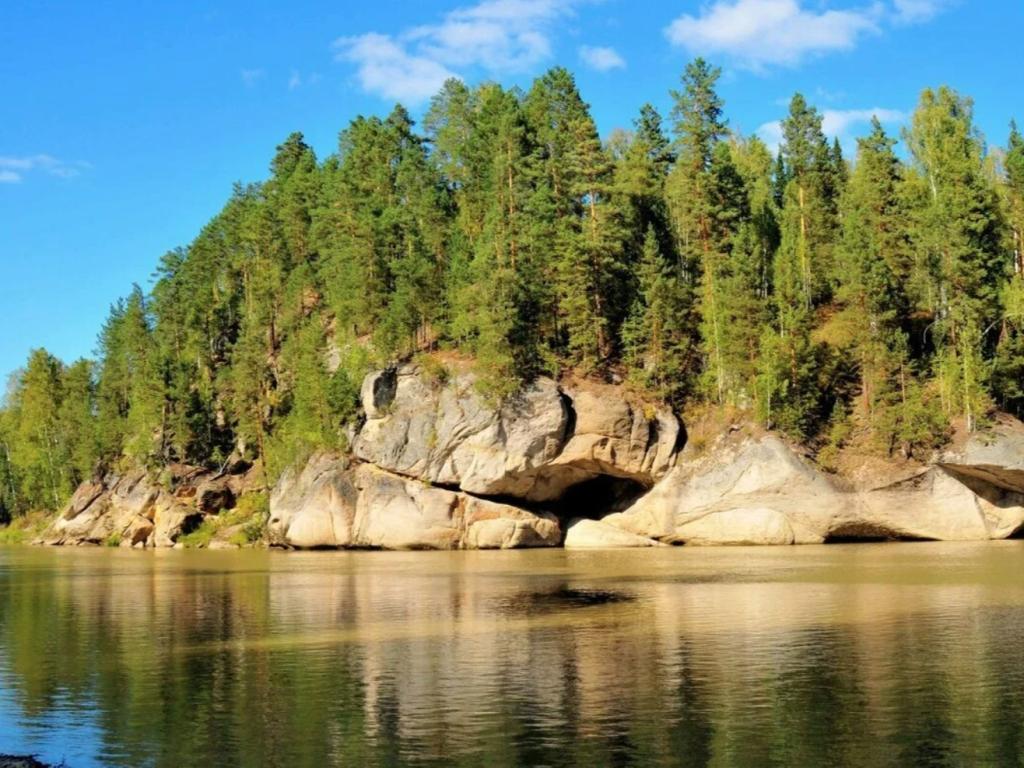 Река Лебедь - фото 5